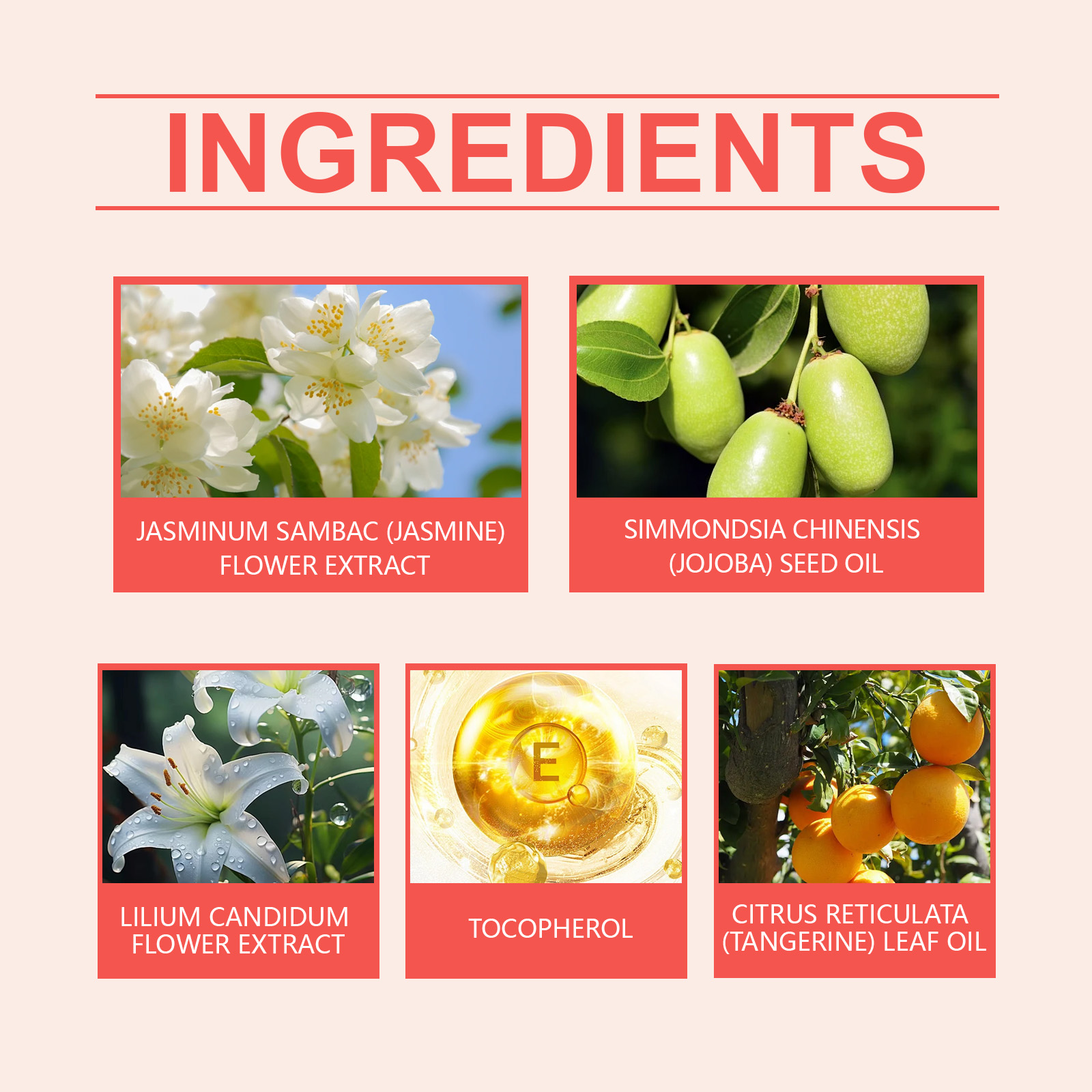 Jasmine Light Perfume Flower Fruit Fragrance Natural Fresh Mild Lasting Light Fragrance Portable Charm Staying Perfume - Image 6