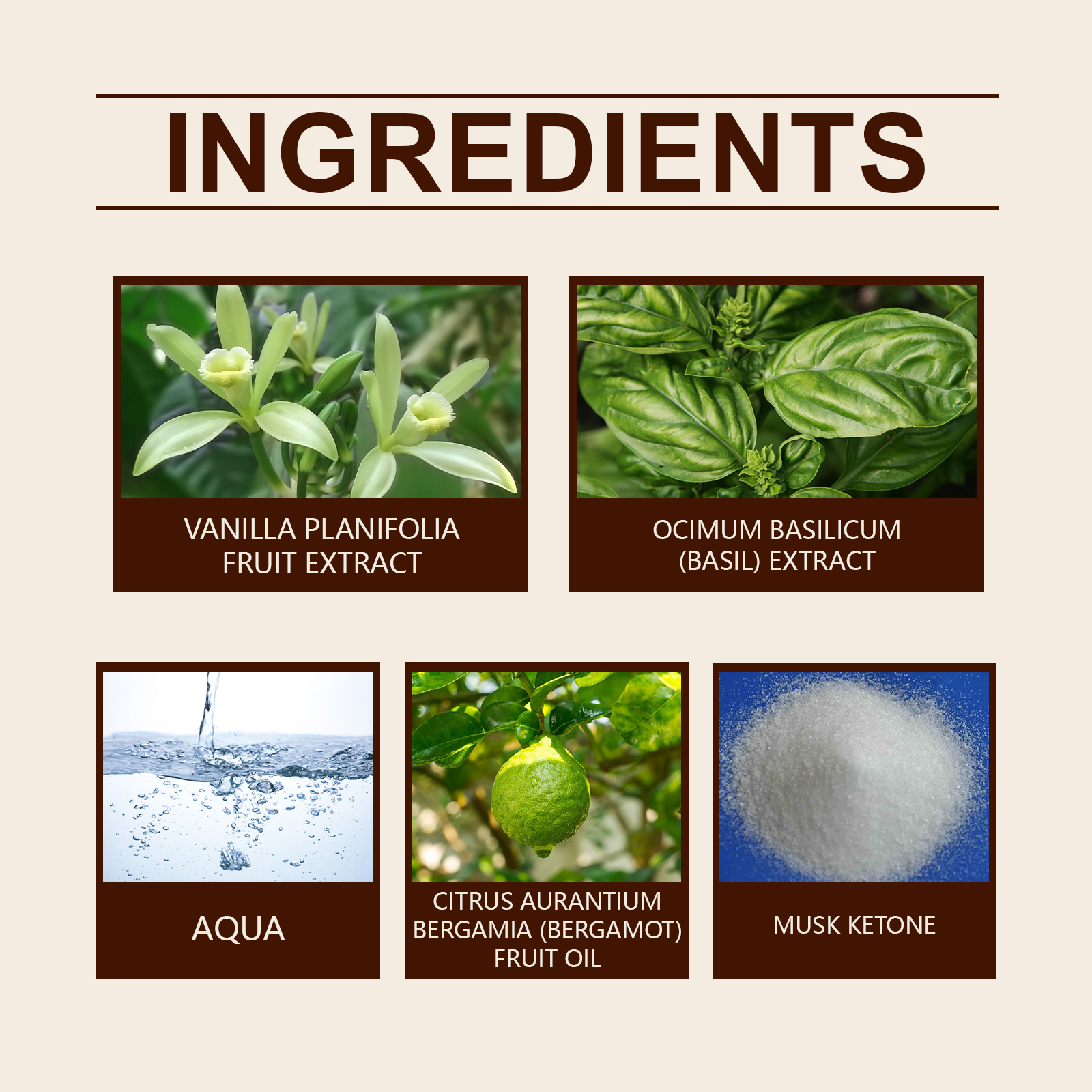 Vanilla Basil Perfume Mild Niche Vanilla Light Fragrance Stay Fragrance Lasting Dating Charm Natural Light Elegant Perfume - Image 5