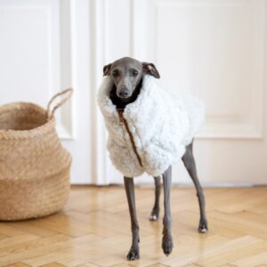 Alternative view of Woolen Dog Vest - Light Grey