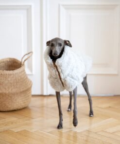 Alternative view of Woolen Dog Vest - Light Grey