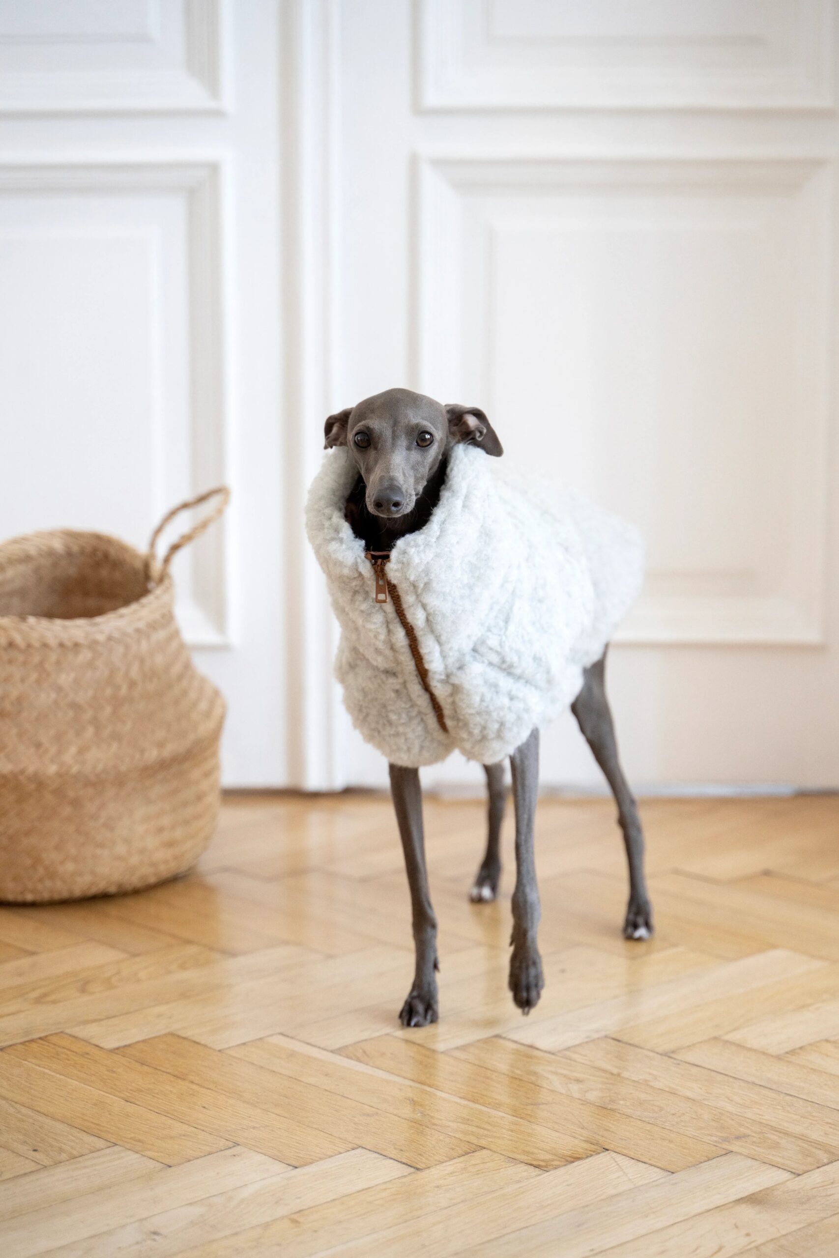 Woolen Dog Vest – Light Grey