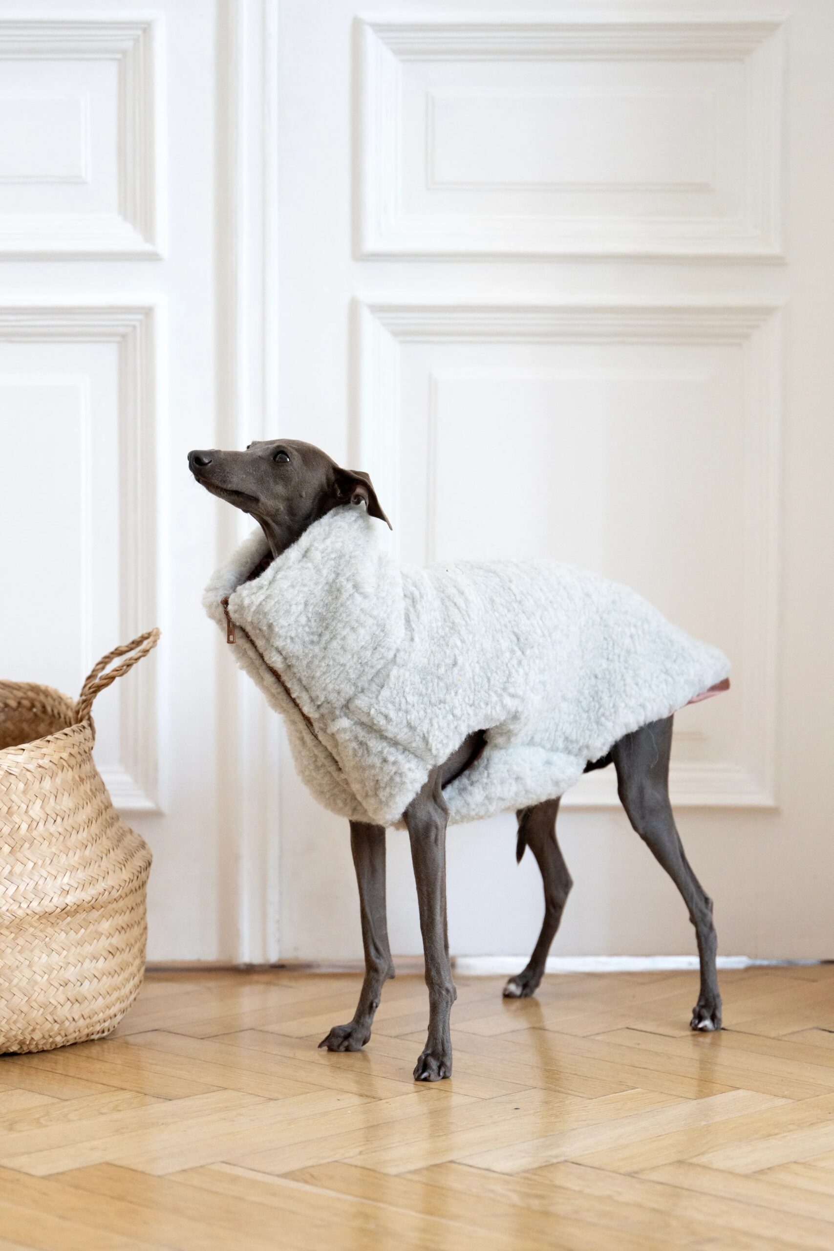 Woolen Dog Vest – Light Grey