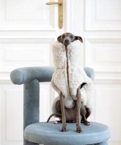 Woolen Dog Vest - Light Grey