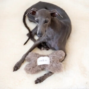 Alternative view of Natural Woolen Dog Toy - Bone - Beige