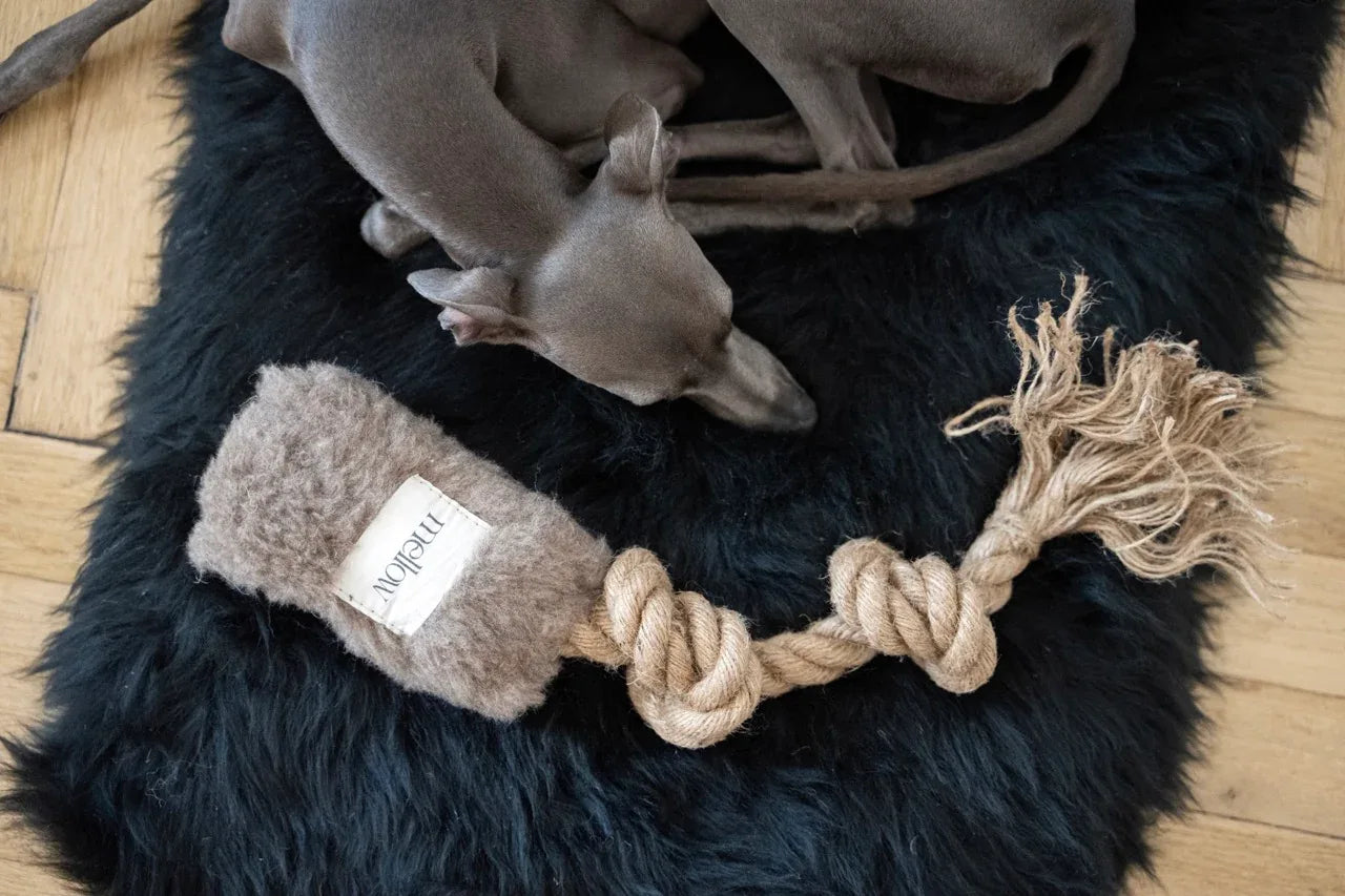 Natural Woolen Dog Tug Toy – Beige