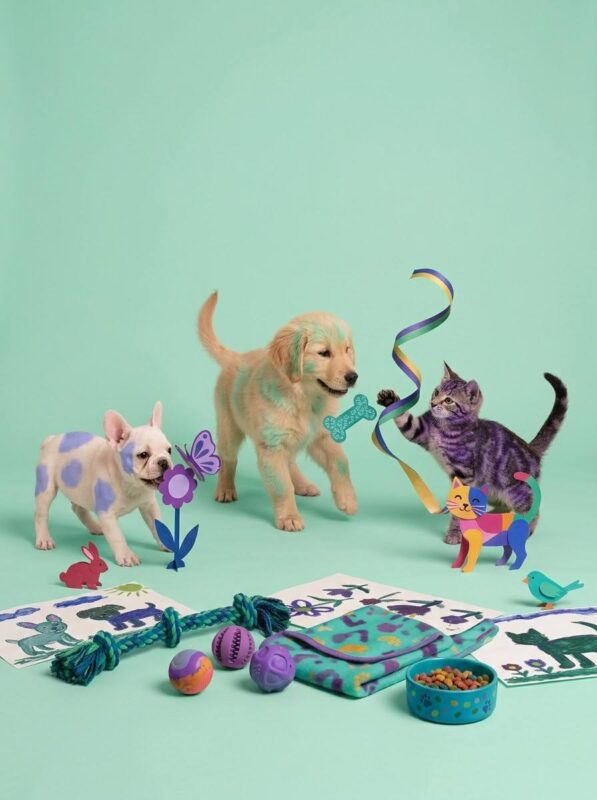 pet