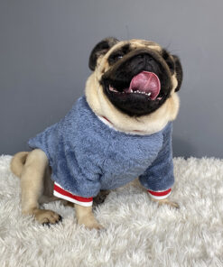 Pet sweater