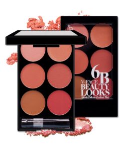 Make-up Multi-color Boutique Domestic Product Six-color Blush Repair Makeup