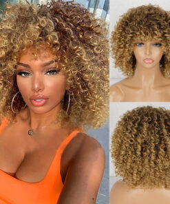 Synthetic Afro Curly Wig African Wigs For Black Women