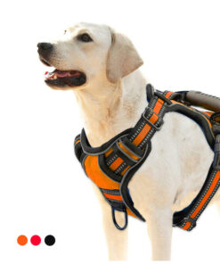 Dog Harness No Pull Breathable Reflective Pet Harness Vest